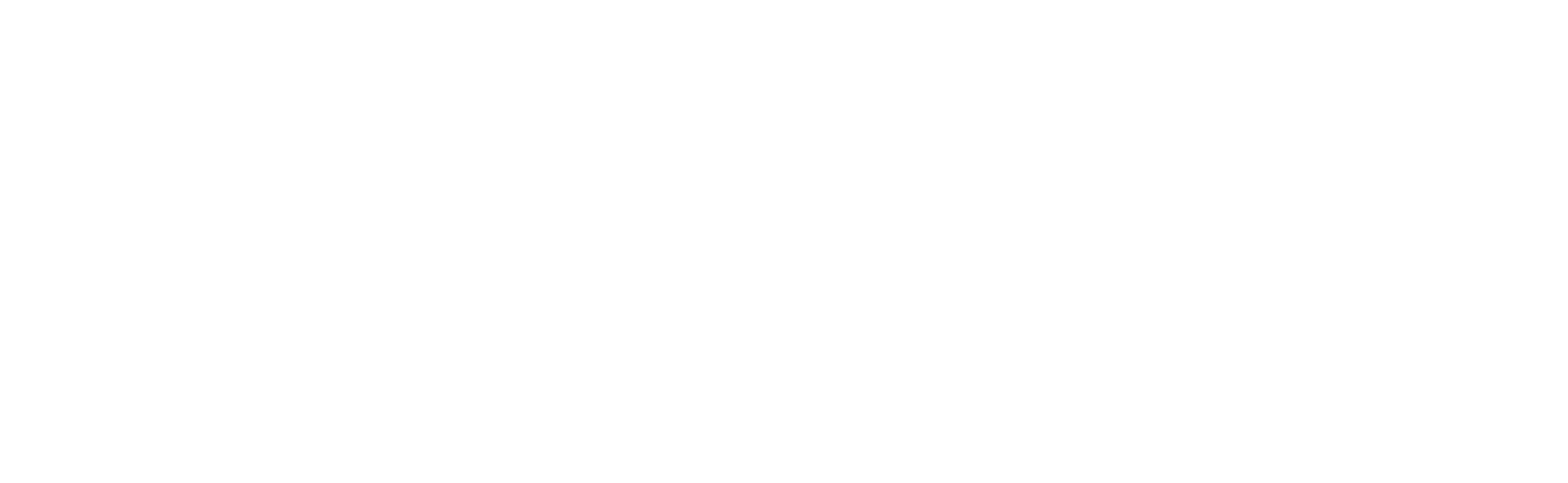 Seismic_logo_Horizontal_OneColor_White-1